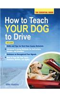 How to Teach Your Dog to Drive