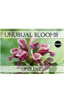 Unusual Blooms Up Close 2018: A Potpourri of Peculiar Blossoms(Calvendo Nature)