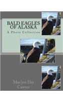 Bald Eagles of Alaska