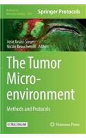 Tumor Microenvironment