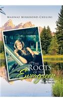 The Roots of the Evergreen