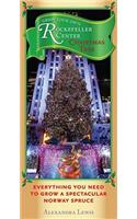 Grow Your Own Rockefeller Center Christmas Tree