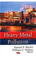 Heavy Metal Pollution