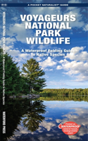 Voyageurs National Park Wildlife