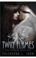 Twin Flames Book 1 of the Katoom Series