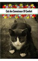 Cats Are Connoisseurs Of Comfort