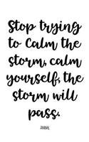 Stop Trying To Calm The Storm, Calm Yourself, The Storm Will Pass - Journal
