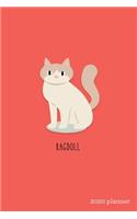 Ragdoll 2020 Planner