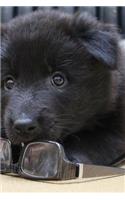 Adorable Little Belgian Shepherd Puppy Dog Groenendael Journal: Take Notes, Write Down Memories in this 150 Page Lined Journal