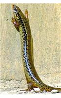 Ocellated Skink Lizard (Chalcides Ocellatus) Journal: 150 page lined notebook/diary