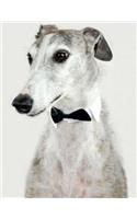 Greyhound Notebook: 8.5x11, 134 College Ruled Pages, Composition Book, Journal, Glossy Cover, Dog Lovers