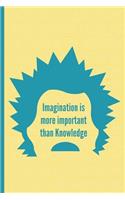 Imagination Is More Important Than Knowledge