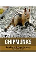 Chipmunks: Fun Facts & Cool Pictures