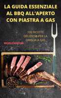 Guida Essenziale Al BBQ All'aperto Con Piastra a Gas