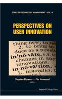 Perspectives on User Innovation