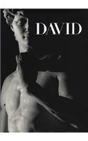 Michelangelo's David: From Symbol to Myth