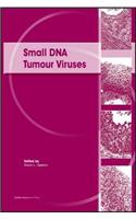 Small DNA Tumour Viruses