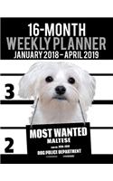 2018-2019 Weekly Planner - Most Wanted Maltese: Daily Diary Monthly Yearly Calendar Large 8.5" x 11" Schedule Journal Organizer