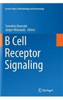 B Cell Receptor Signaling
