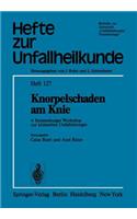 Knorpelschaden Am Knie