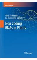 Non Coding Rnas in Plants
