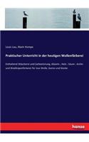 Praktischer Unterricht in der heutigen Wollenfärberei: Enthaltend Wäscherei und Carbonisirung, Alizarin-, Holz-, Säure-, Anilin- und Waidküpenfärberei für lose Wolle, Garne und Stücke