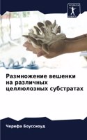 Размножение вешенки на различных целлюло