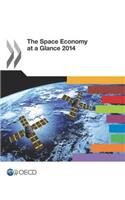 The Space Economy at a Glance 2014
