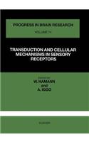Transduction and Cellular Mechanism in Sensory Receptors