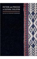 Pattern and Process in Cultural Evolution