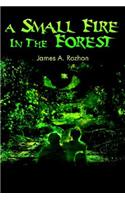 A Small Fire in the Forest