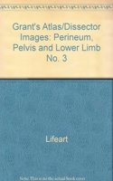 Perineum, Pelvis and Lower Limb (No. 3) (Grant's Atlas/Dissector Images)