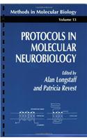 Protocols in Molecular Neurobiology