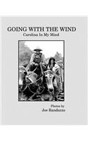 Going With The Wind