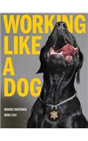 Working Like A Dog