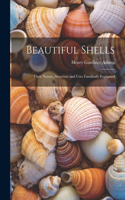 Beautiful Shells