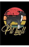 Pitbull