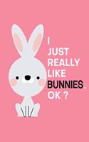 I Just Really Like Bunnies, OK?: Cute Little Bunny Design Cover Notebook and Journal. 6 x 9 inches, 100+ Pages of Lined Pages for Writing.