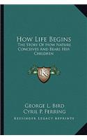 How Life Begins