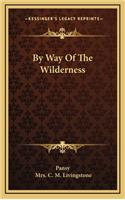 By Way of the Wilderness