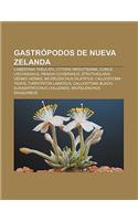 Gastropodos de Nueva Zelanda