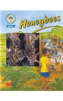 Honeybees