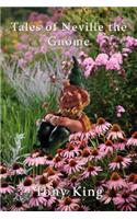 Tales of Neville the Gnome
