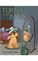 Turtles in the Attic