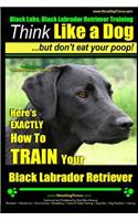 Black Labs, Black Labrador Retriever Training - Think Like a Dog But Don't Eat Your Poop! - Breed Expert Black Labrador Retriever Training -