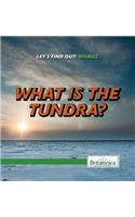 What Is the Tundra?