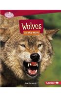 Wolves on the Hunt