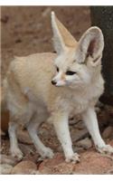 Desert Fox Journal