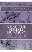 What (the Hell) is Hummus?