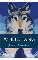 White Fang